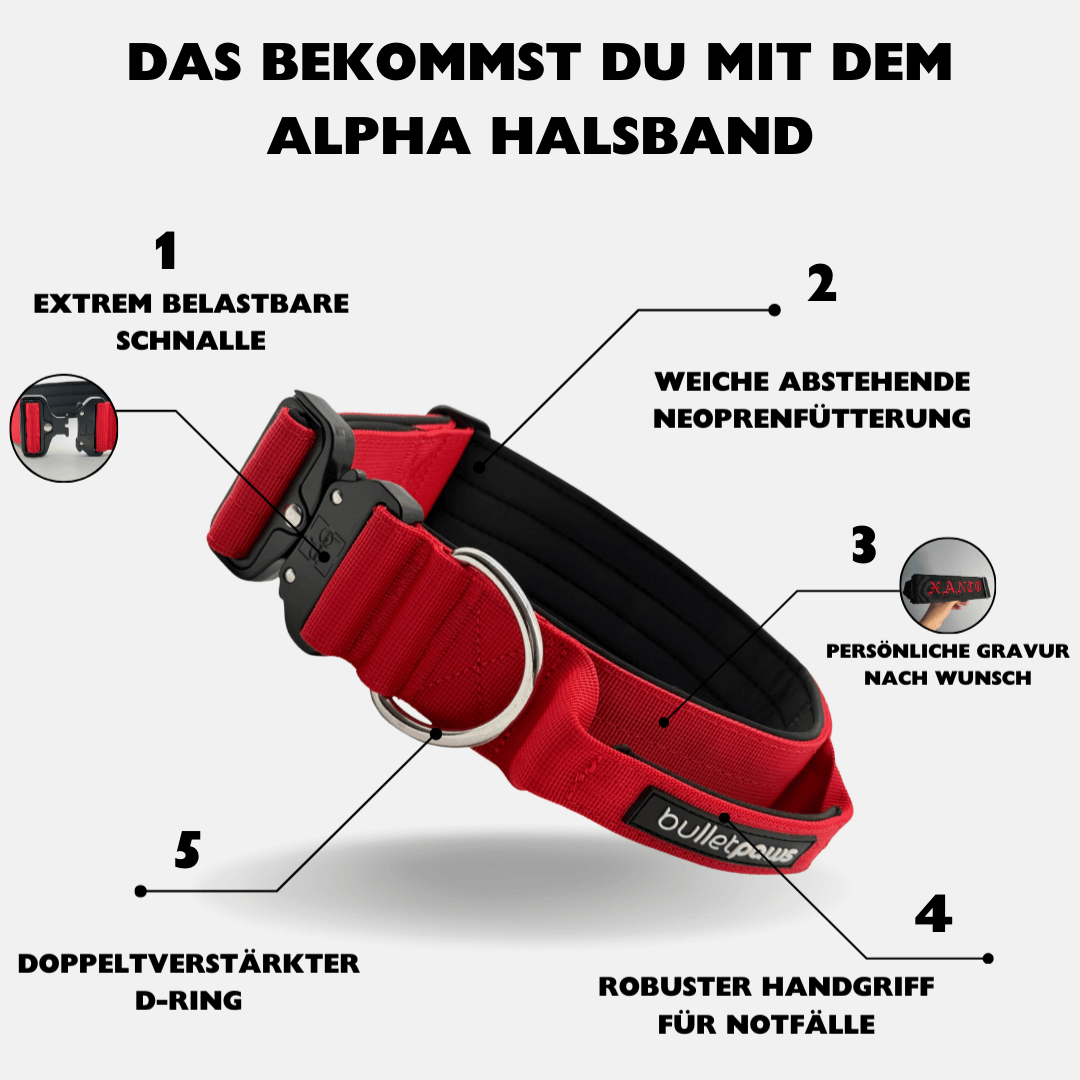 4cm Alpha Hundehalsband mit Griff - Rot