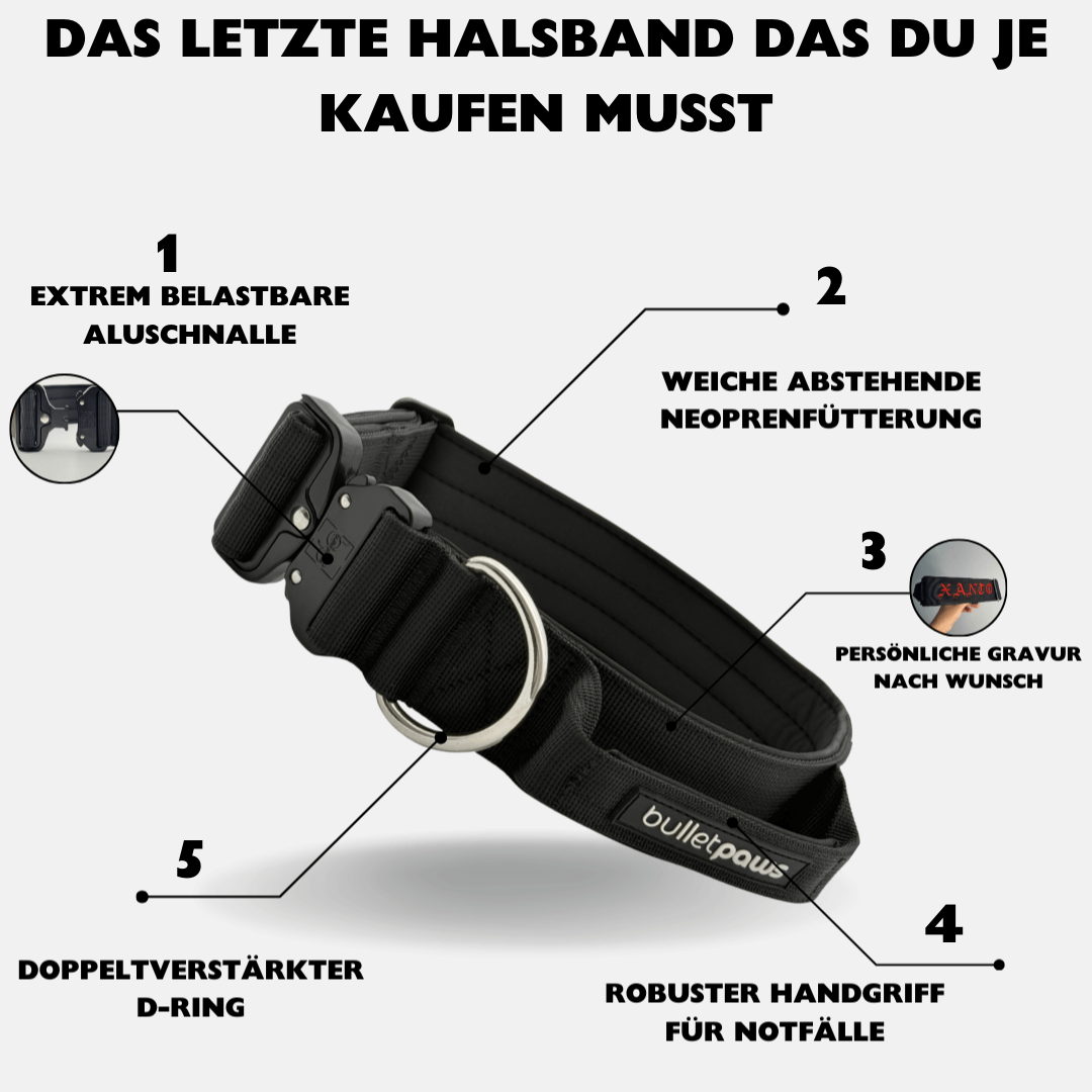 4cm Alpha Hundehalsband mit Griff - Schwarz - BulletPaws