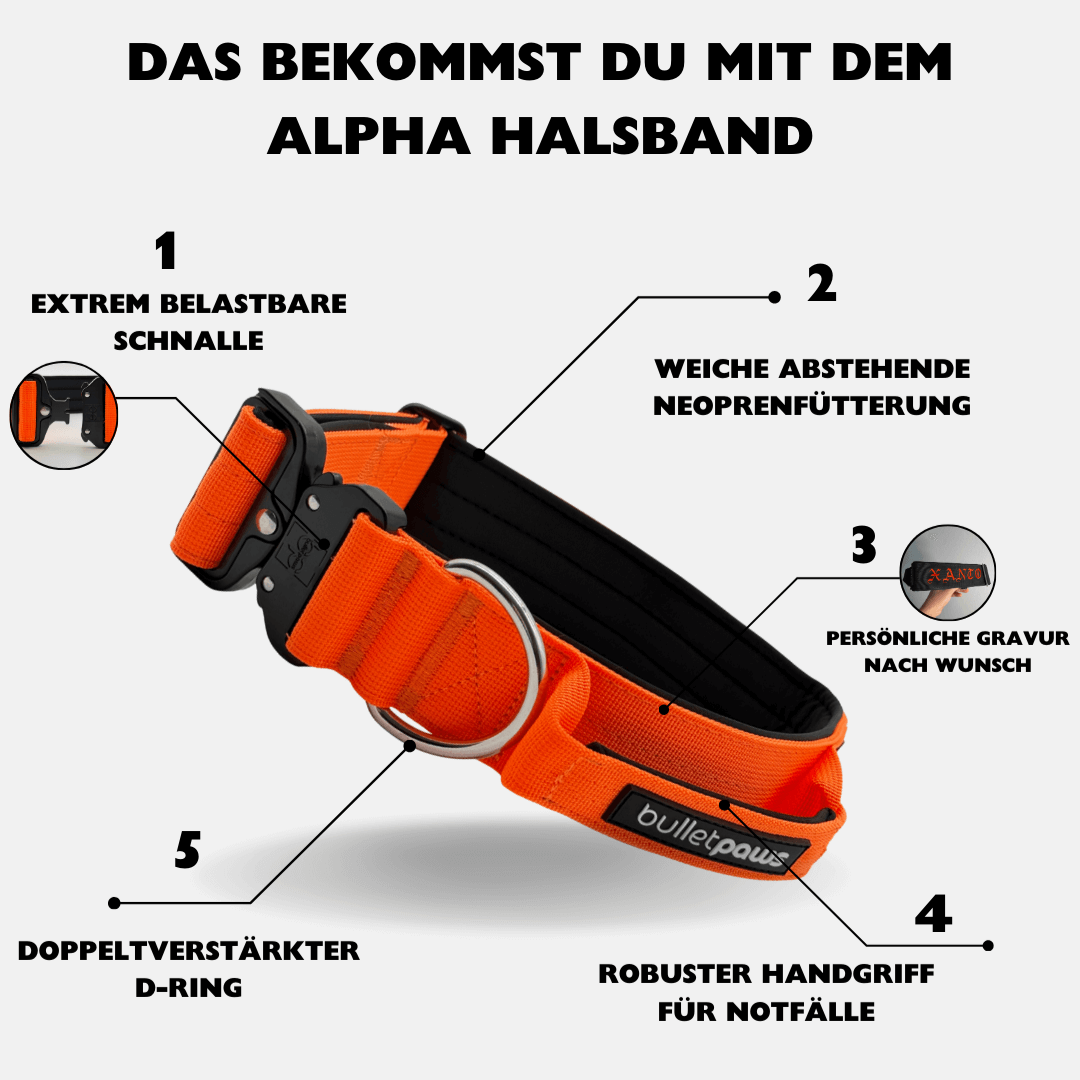 4cm Alpha Hundehalsband mit Griff - Orange