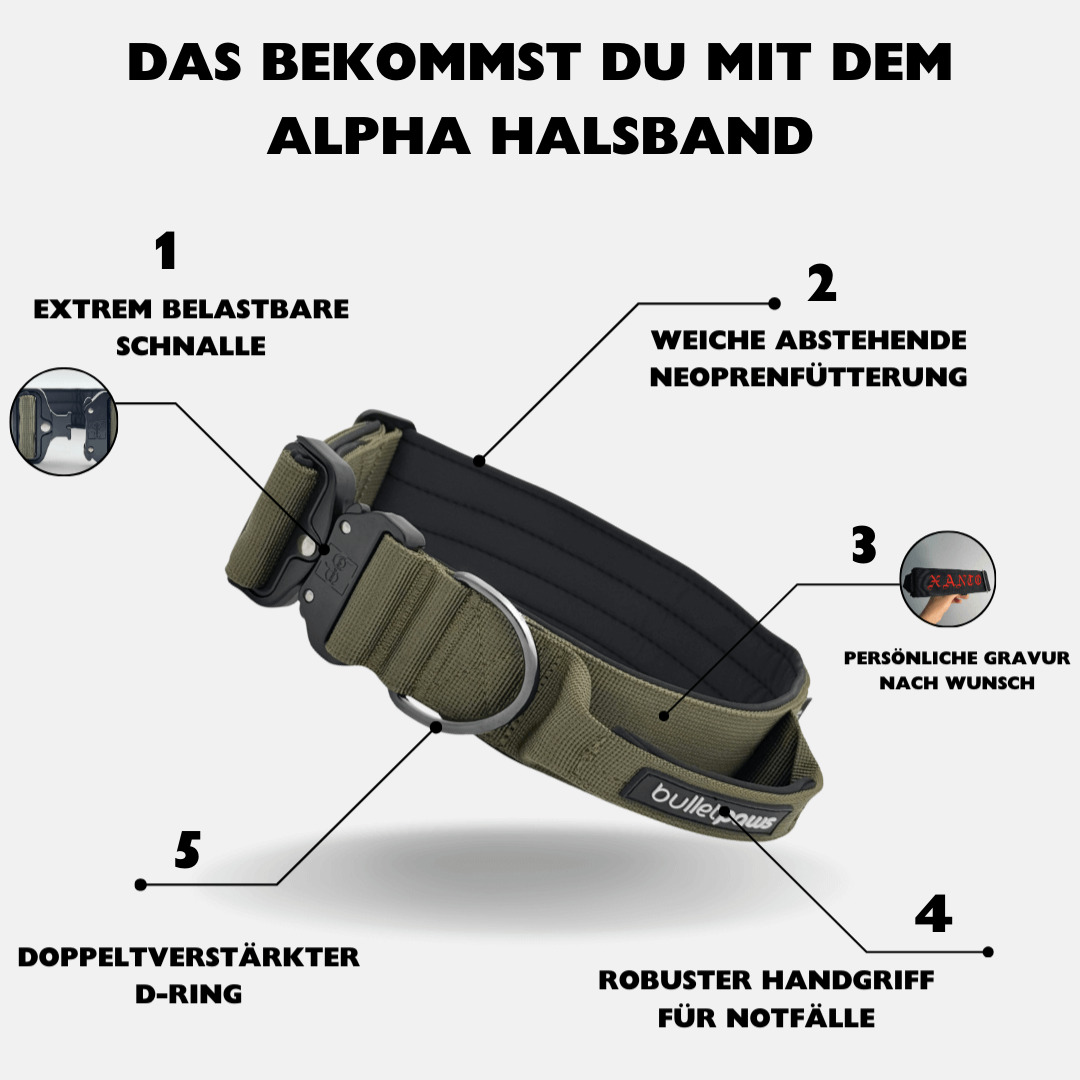 4cm Alpha Hundehalsband mit Griff - Khaki