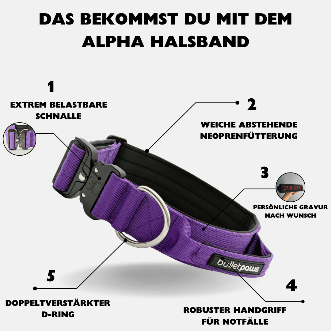 4cm Alpha Hundehalsband mit Griff - Lila