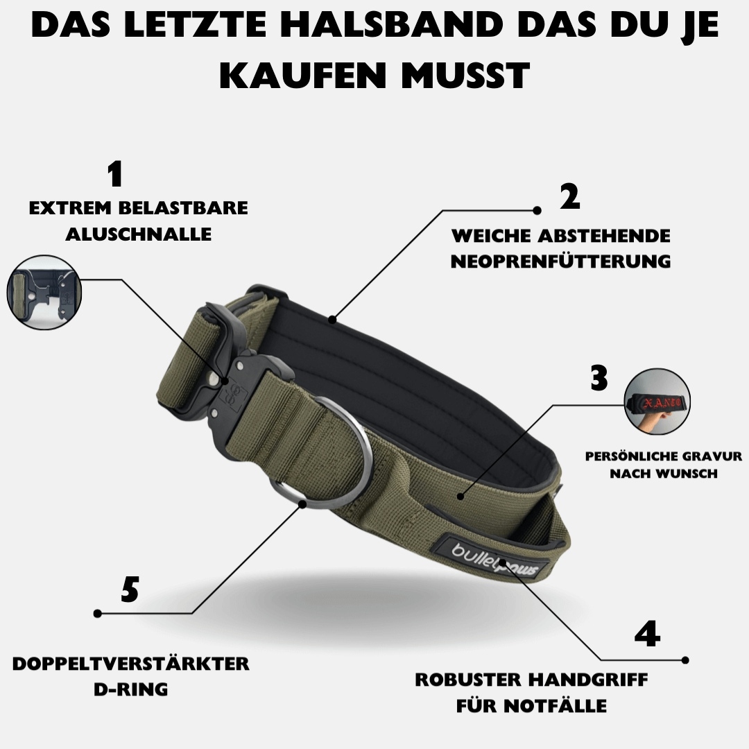 4cm Alpha Hundehalsband mit Griff - Khaki - BulletPaws