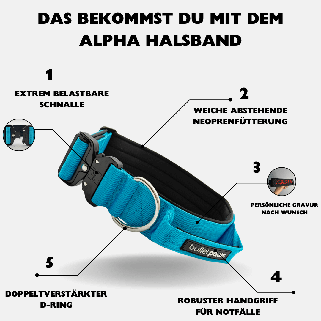 4cm Alpha Hundehalsband mit Griff - Babyblau