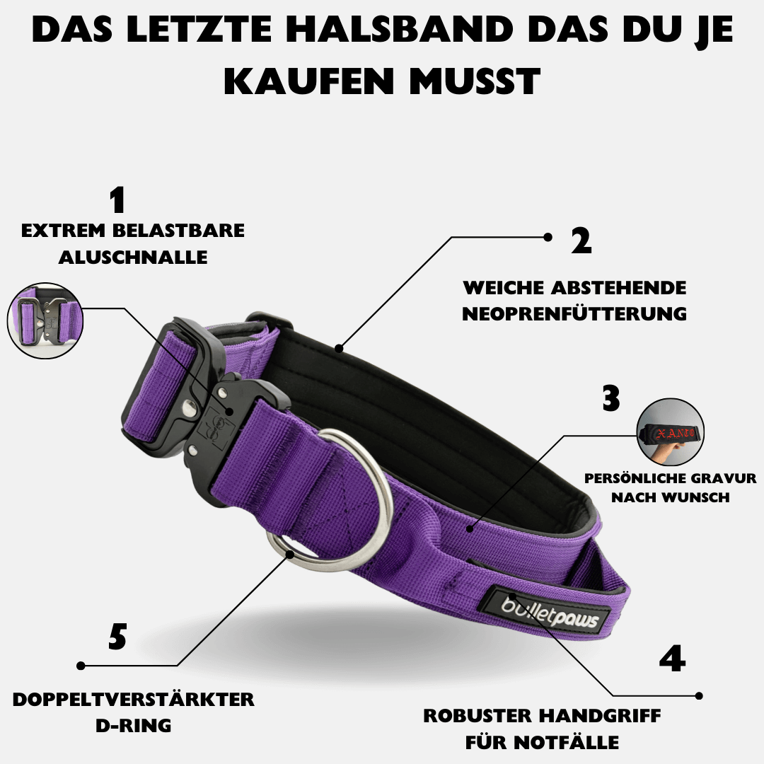 4cm Alpha Hundehalsband mit Griff - Lila - BulletPaws