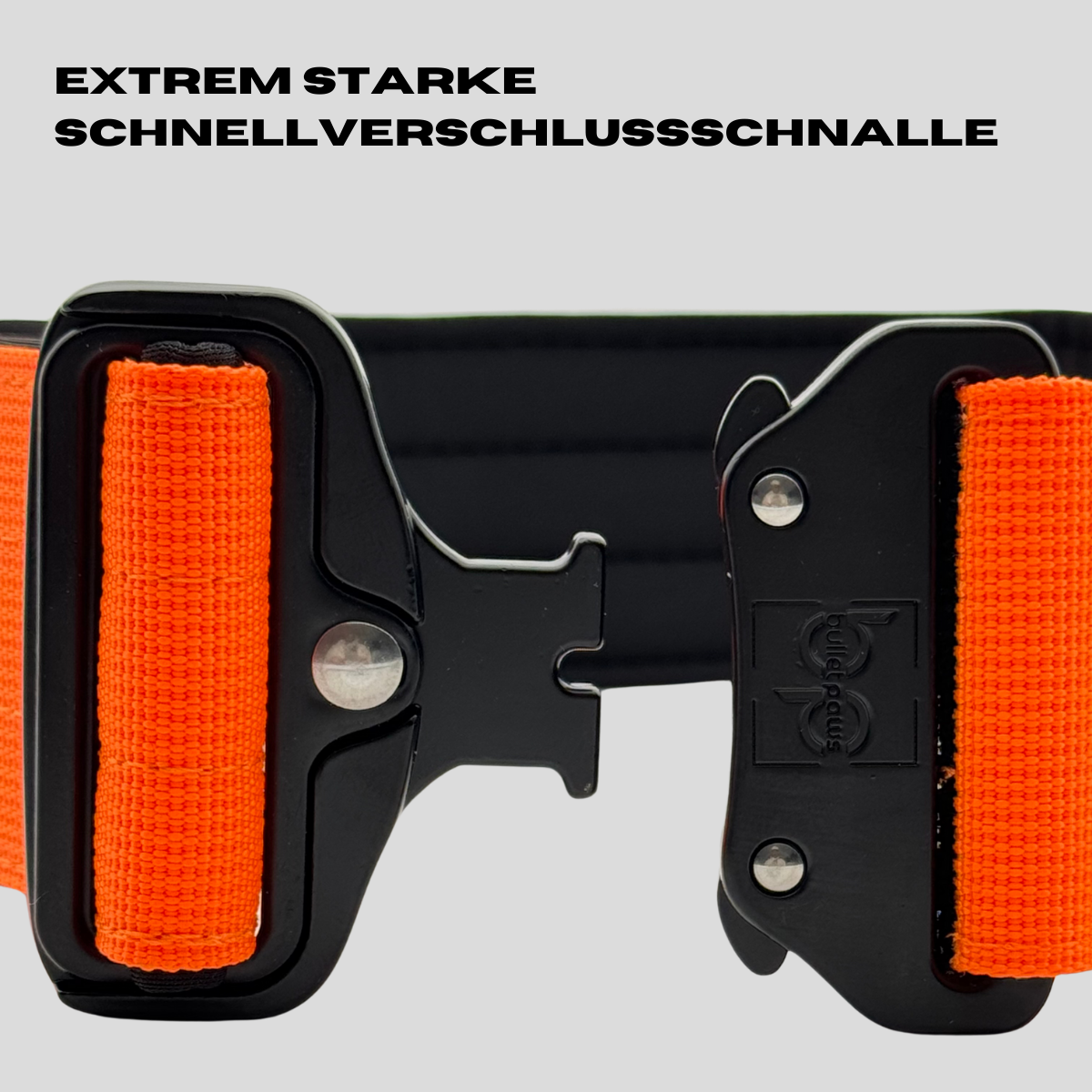 5cm Alpha Hundehalsband mit Griff - Orange