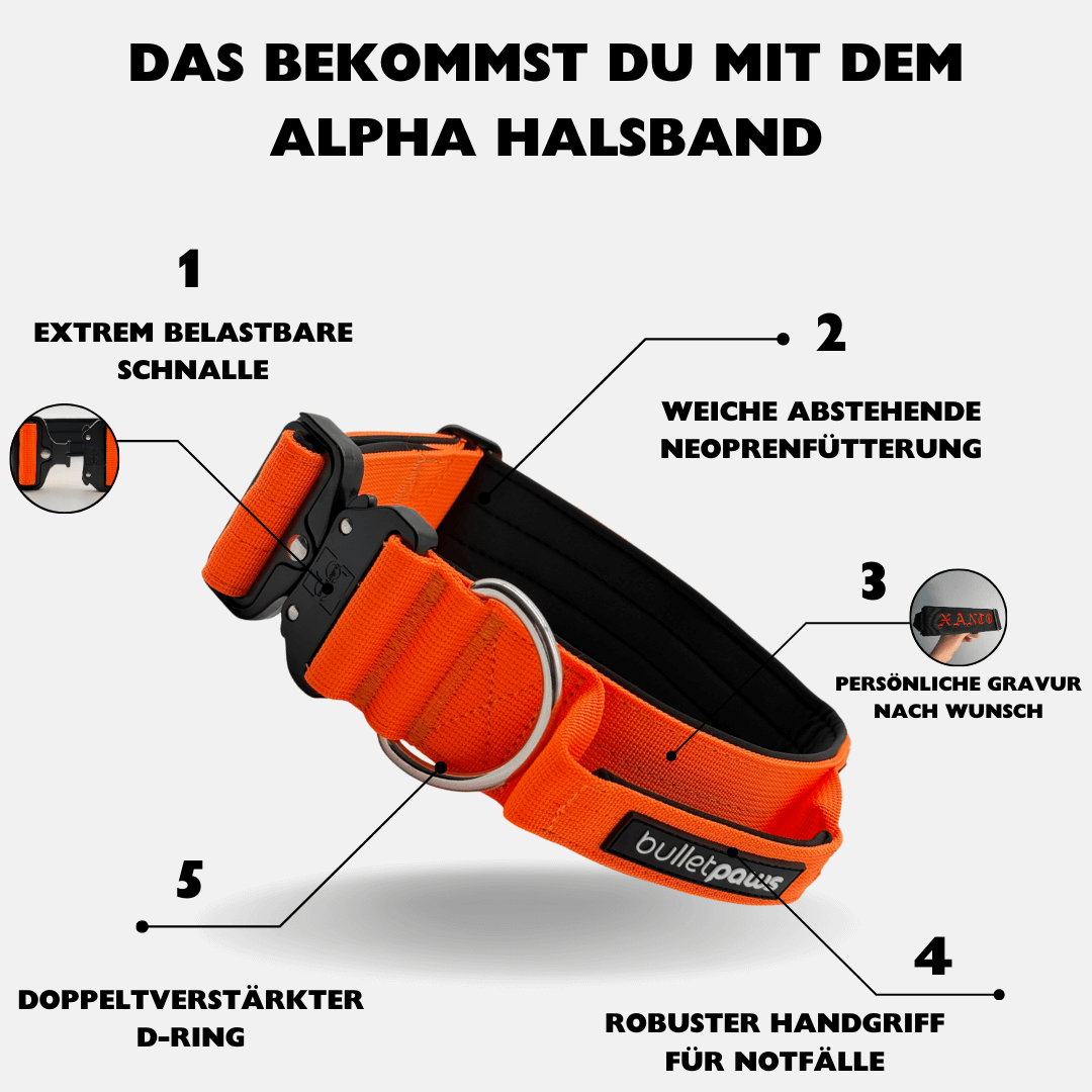 5cm Alpha Hundehalsband mit Griff - Orange
