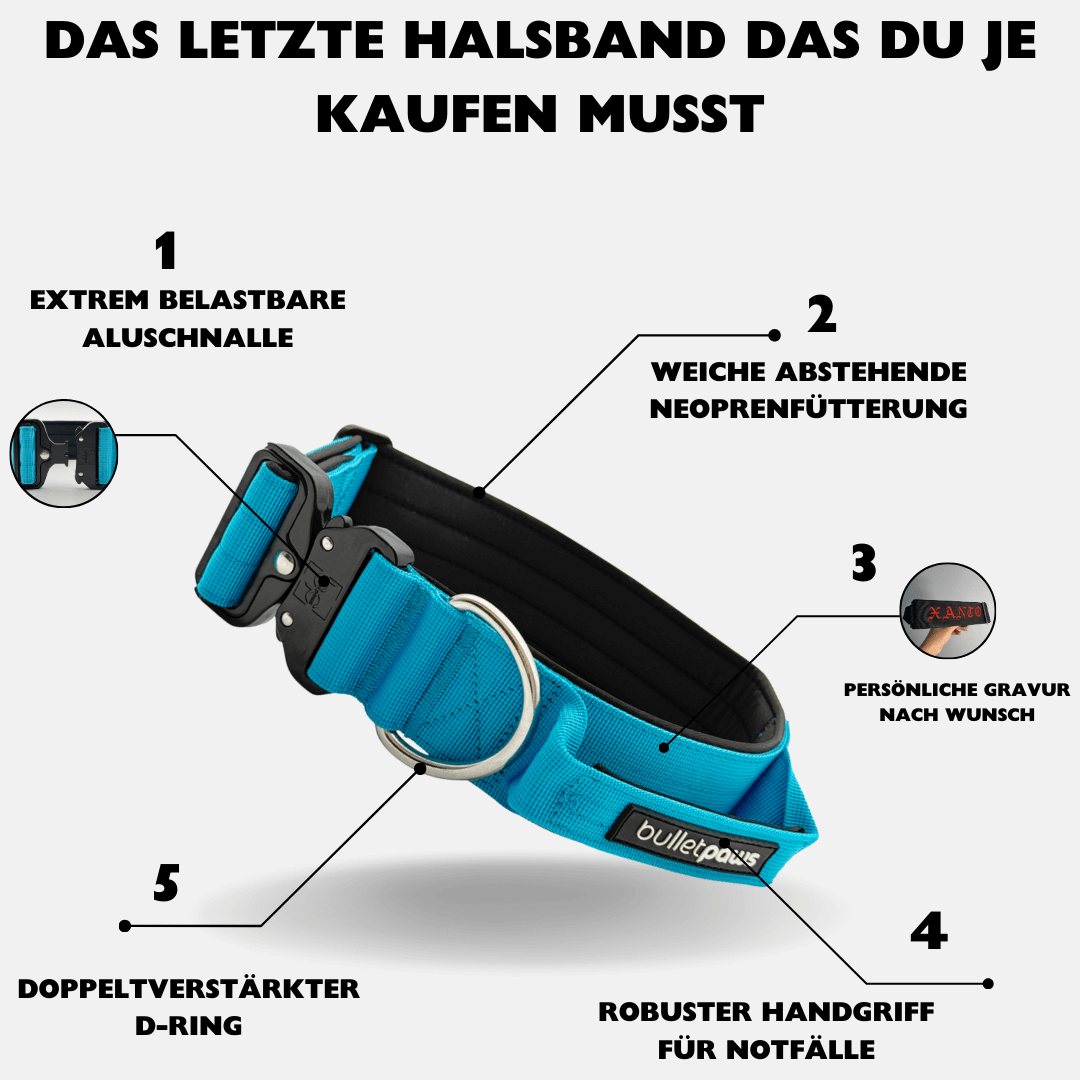 4cm Alpha Hundehalsband mit Griff - Babyblau - BulletPaws