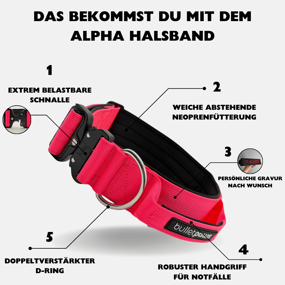 5cm Alpha Hundehalsband mit Griff - Pink