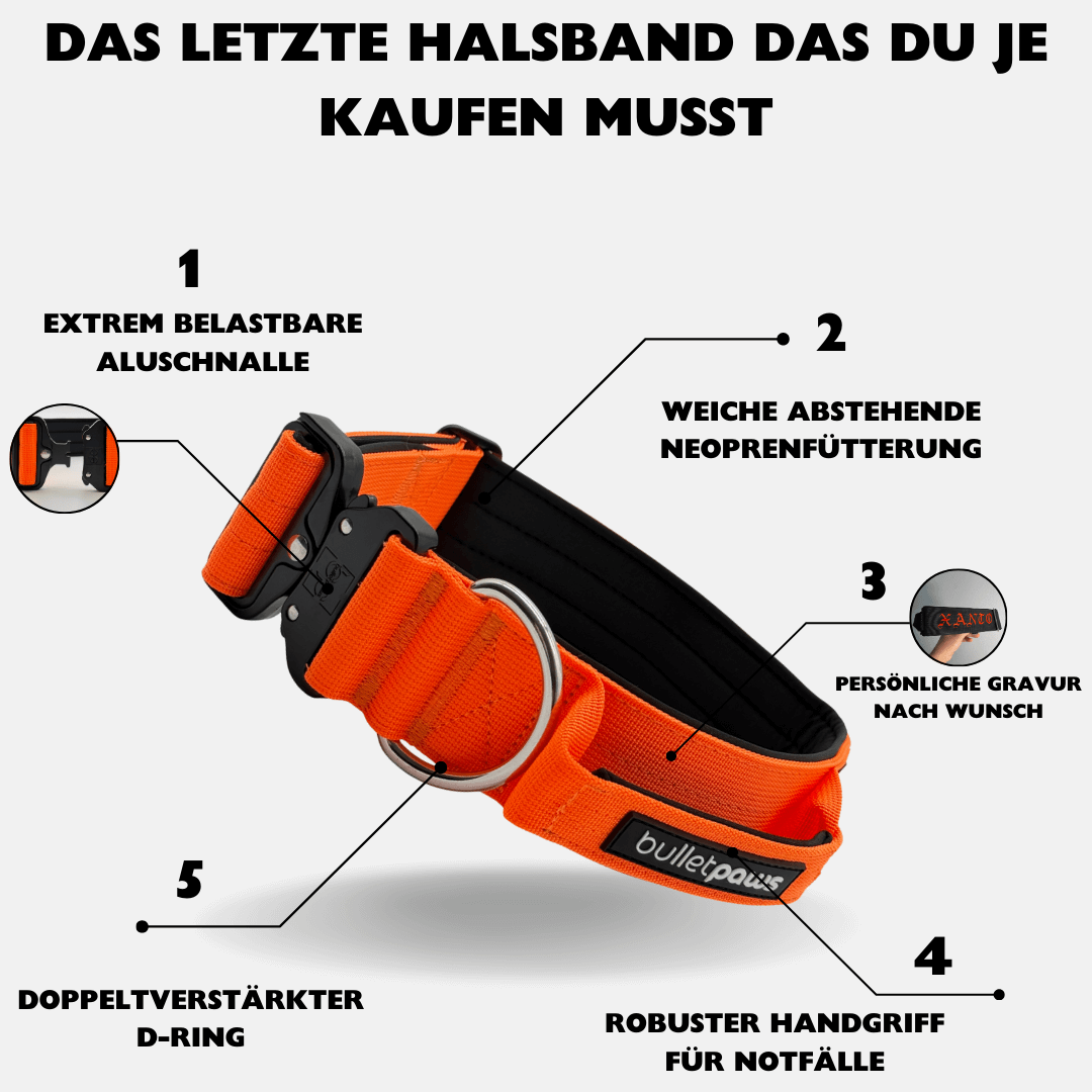 5cm Alpha Hundehalsband mit Griff - Orange - BulletPaws