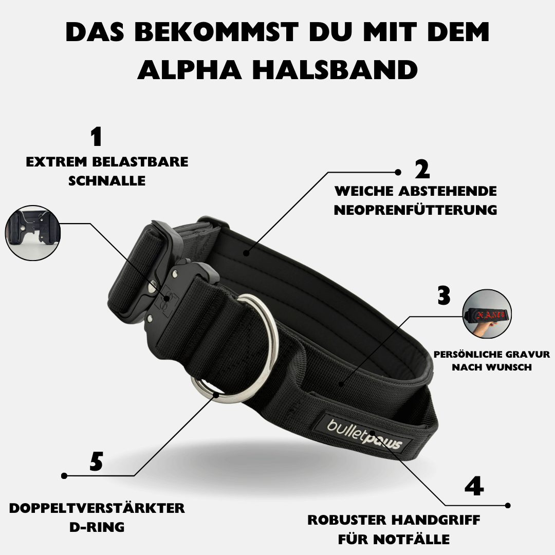 5cm Alpha Hundehalsband mit Griff - Schwarz