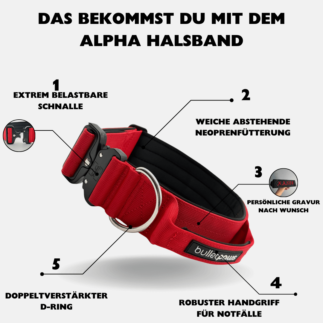 5cm Alpha Hundehalsband mit Griff - Rot
