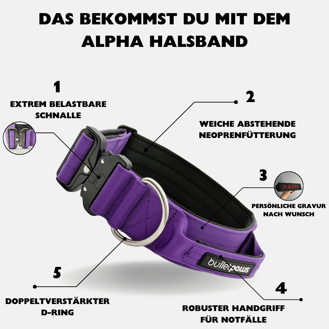 5cm Alpha Hundehalsband mit Griff - Lila