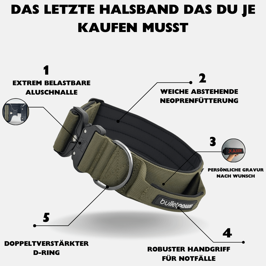 5cm Alpha Hundehalsband mit Griff - Khaki - BulletPaws