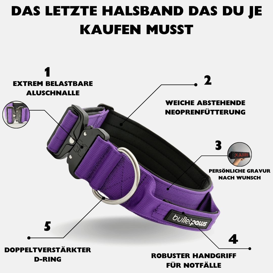 5cm Alpha Hundehalsband mit Griff - Lila - BulletPaws