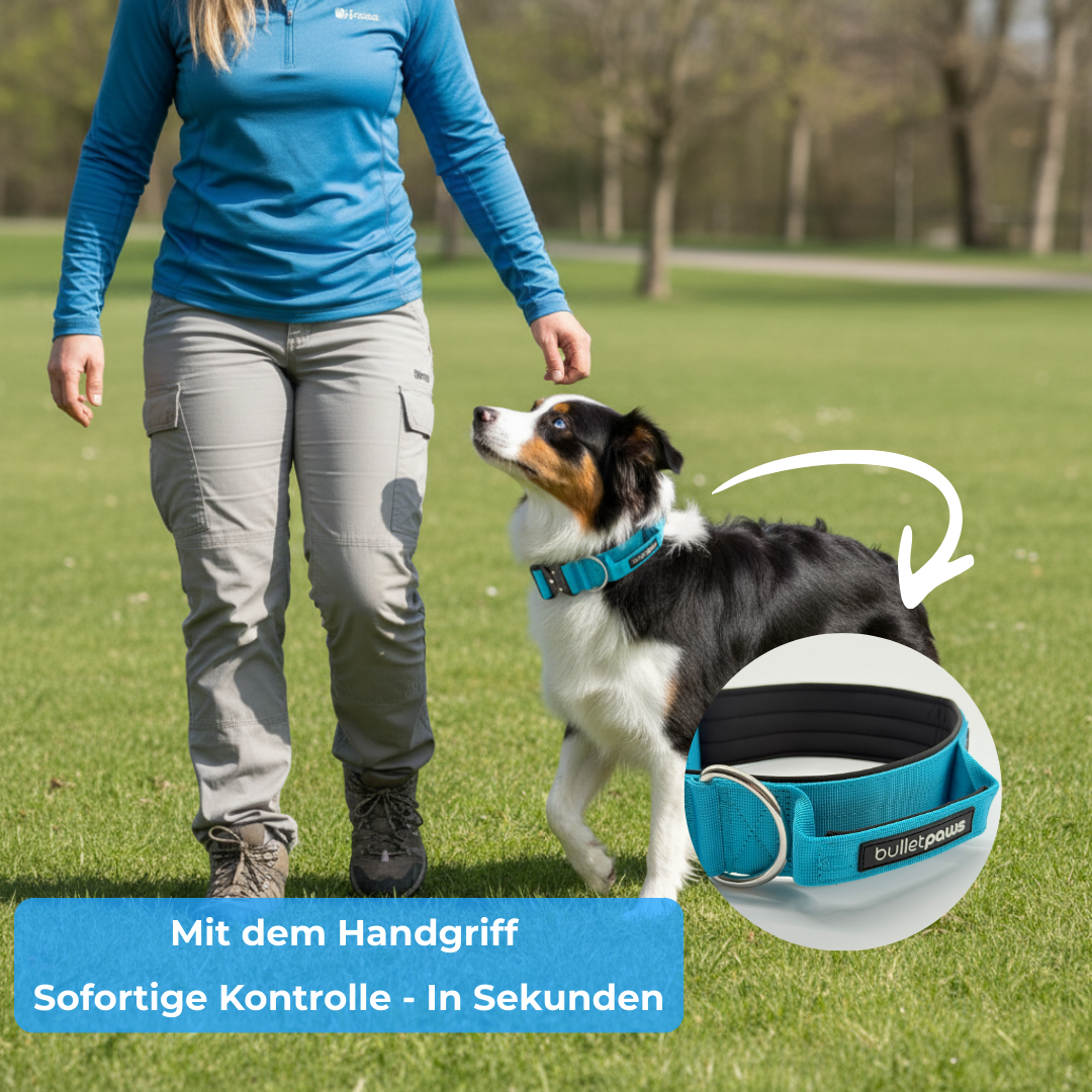 Alpha Hundehalsband mit Griff