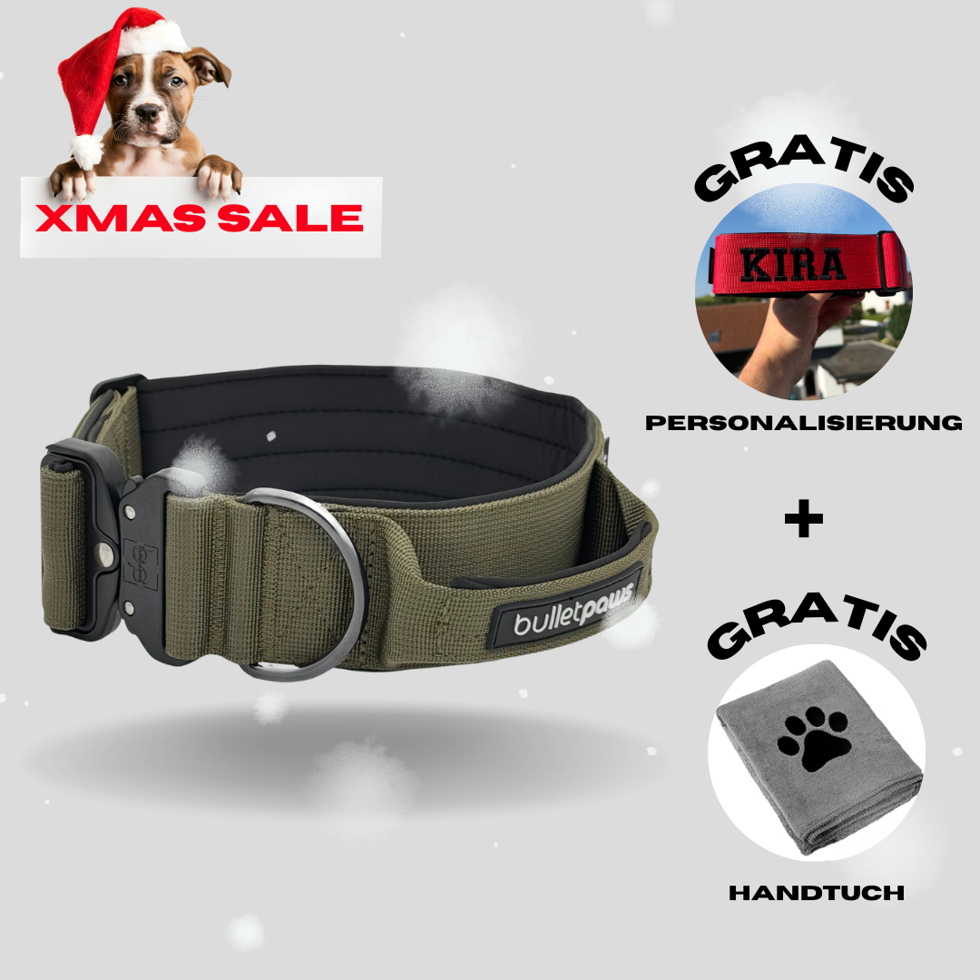 5cm Alpha Hundehalsband mit Griff - Khaki