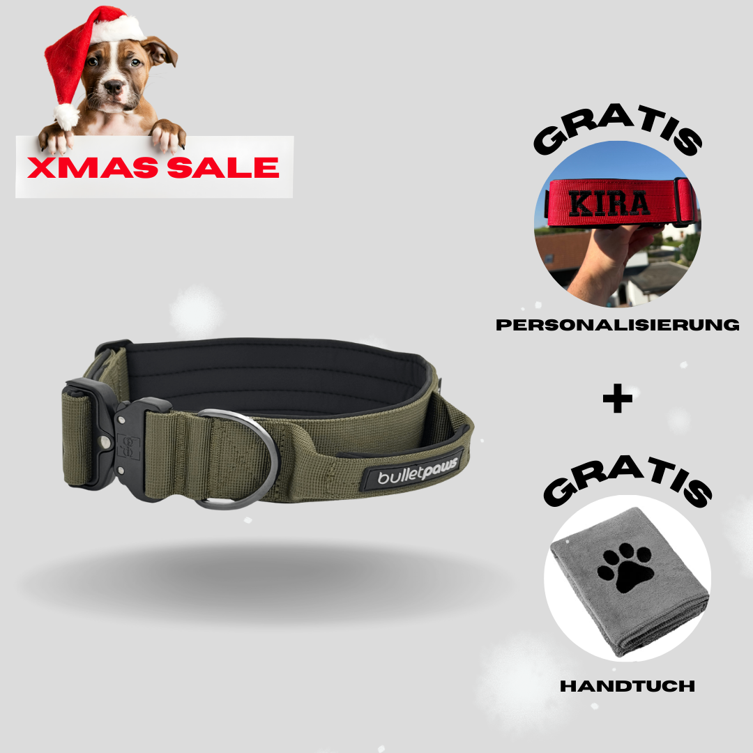 4cm Alpha Hundehalsband mit Griff - Khaki