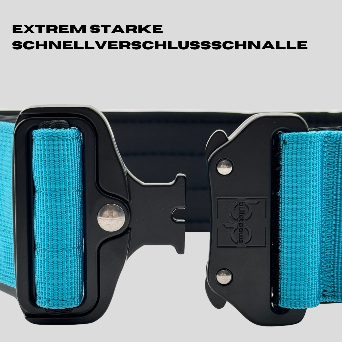 5cm Alpha Hundehalsband mit Griff - Babyblau