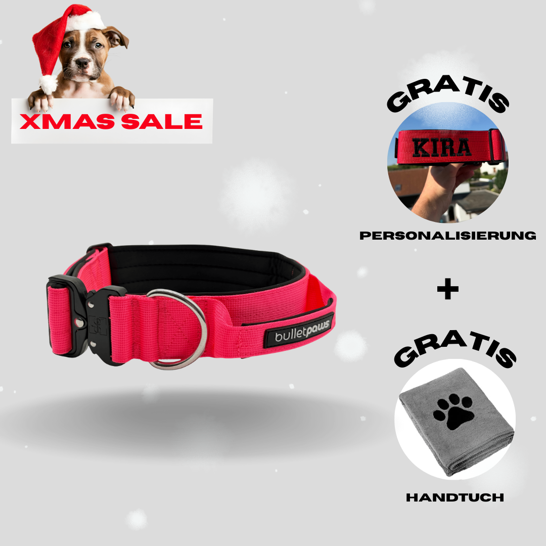 4cm Alpha Hundehalsband mit Griff - Pink
