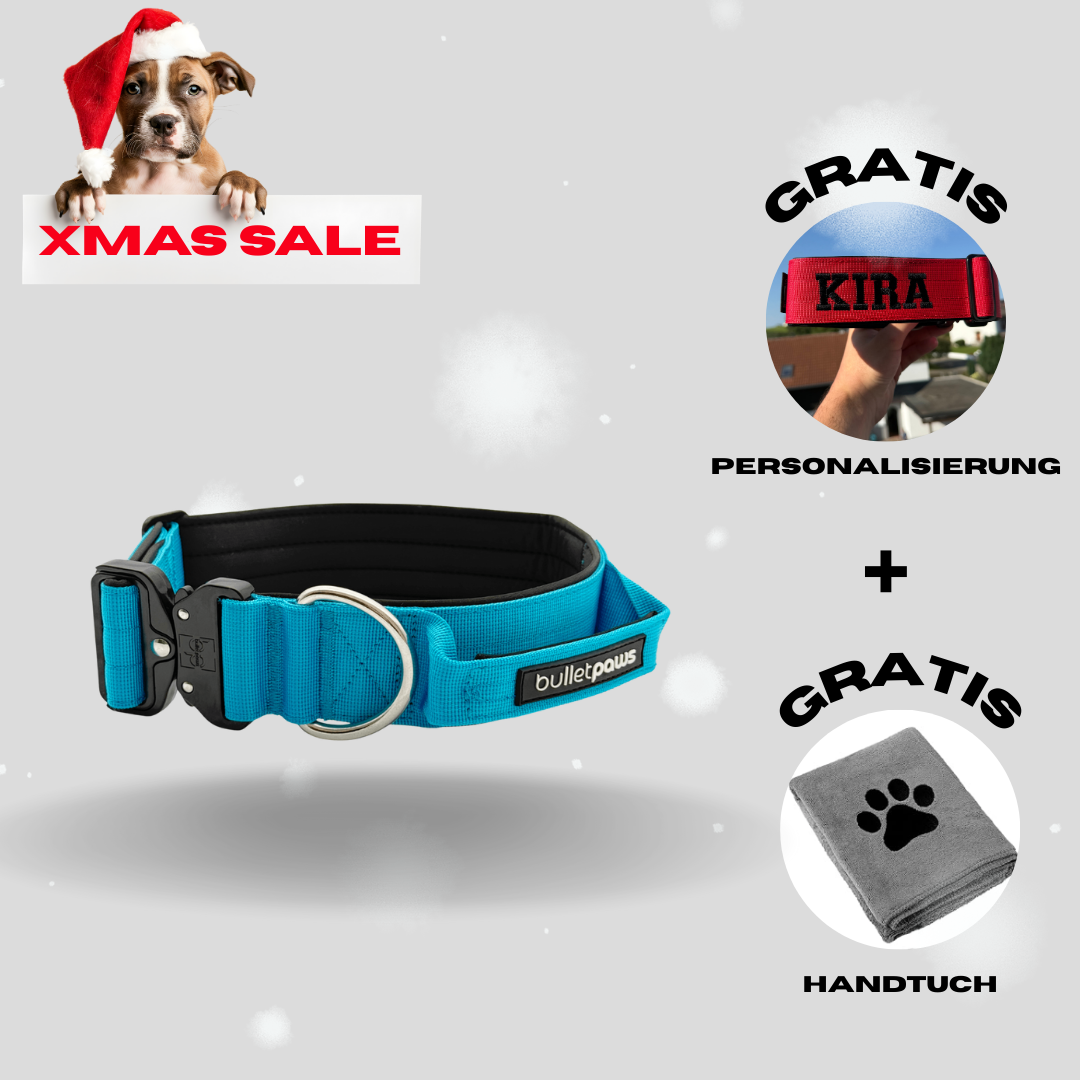 4cm Alpha Hundehalsband mit Griff - Babyblau