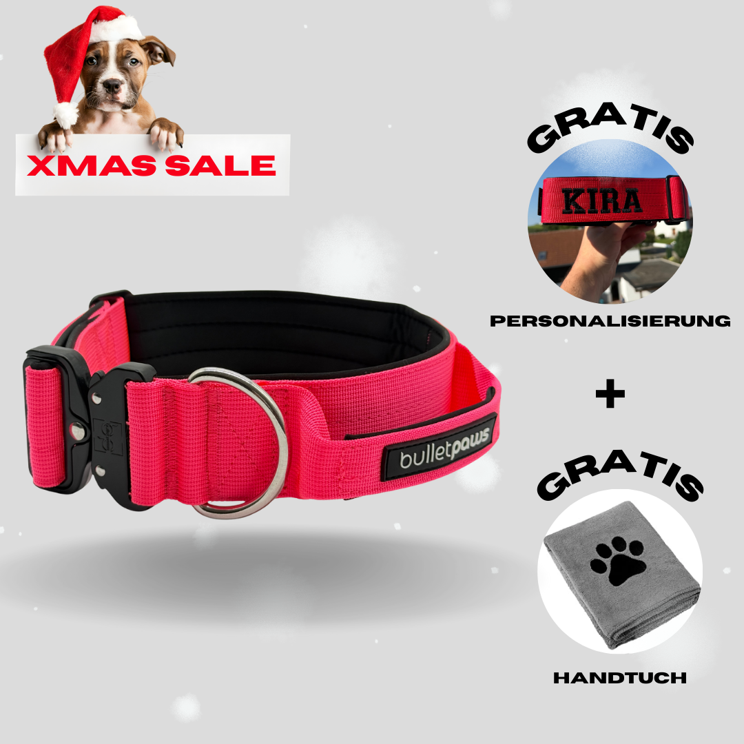 5cm Alpha Hundehalsband mit Griff - Pink