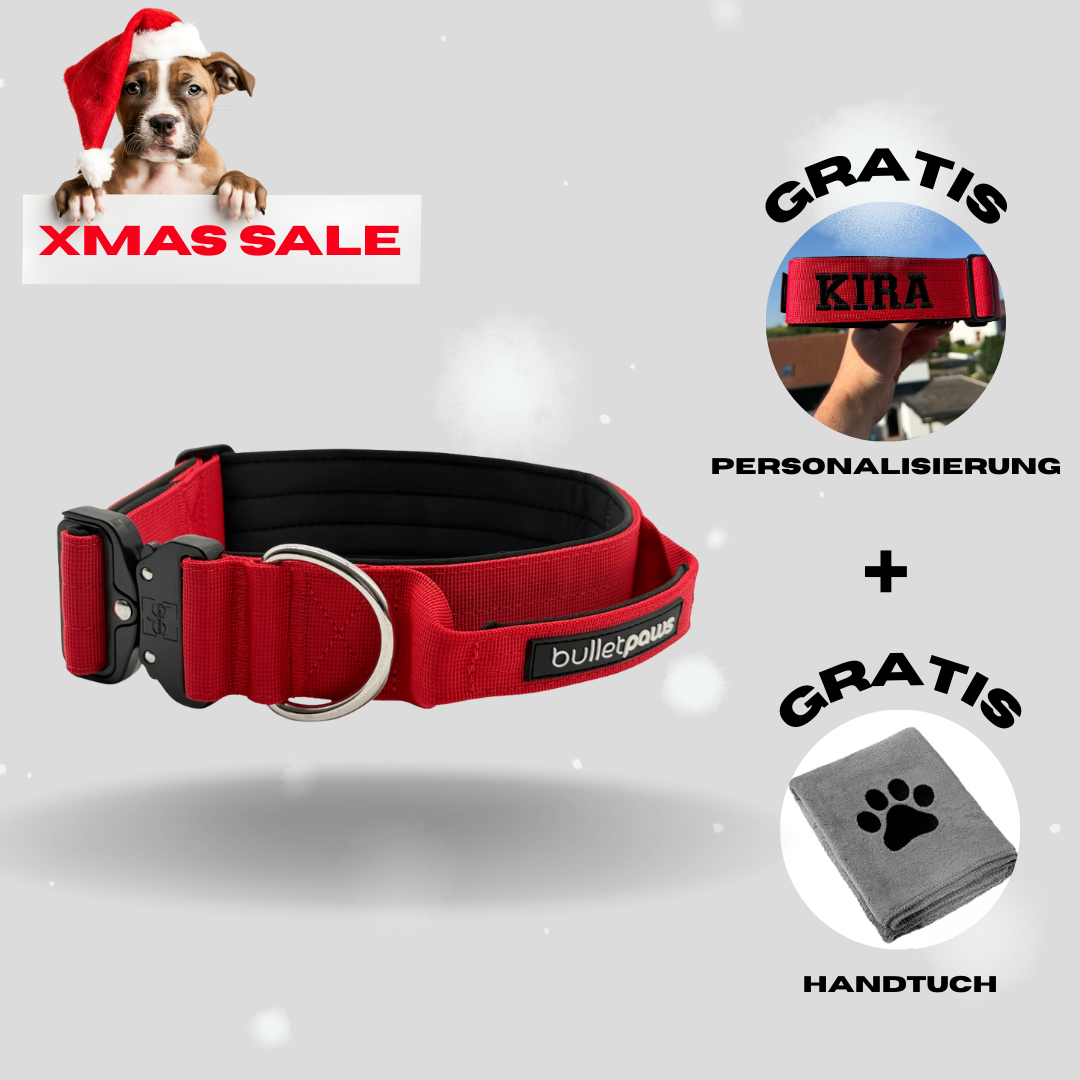 4cm Alpha Hundehalsband mit Griff - Rot