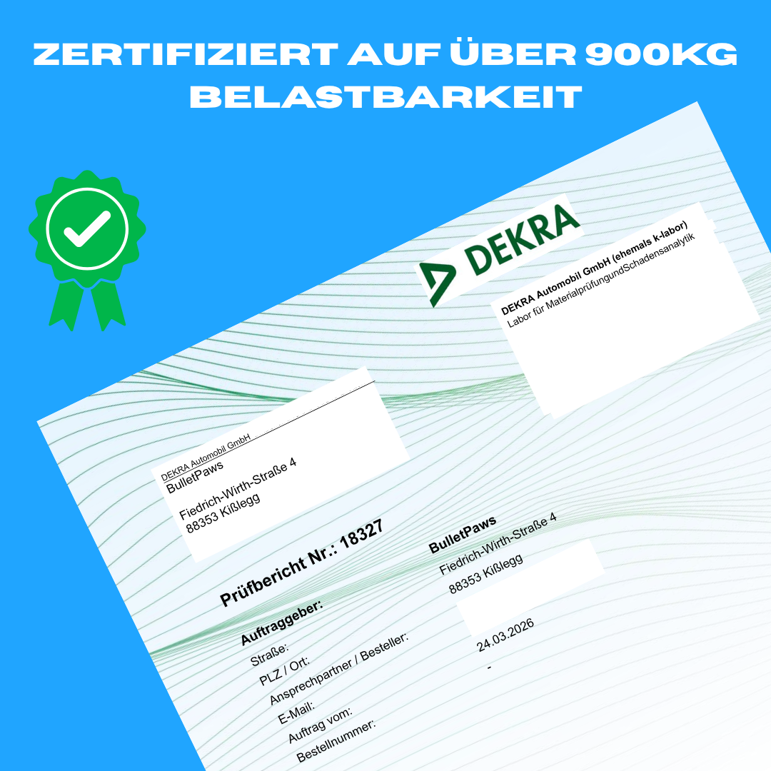 Alpha Hundehalsband mit Griff 5cm - Khaki