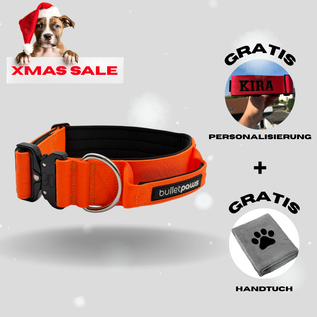 5cm Alpha Hundehalsband mit Griff - Orange
