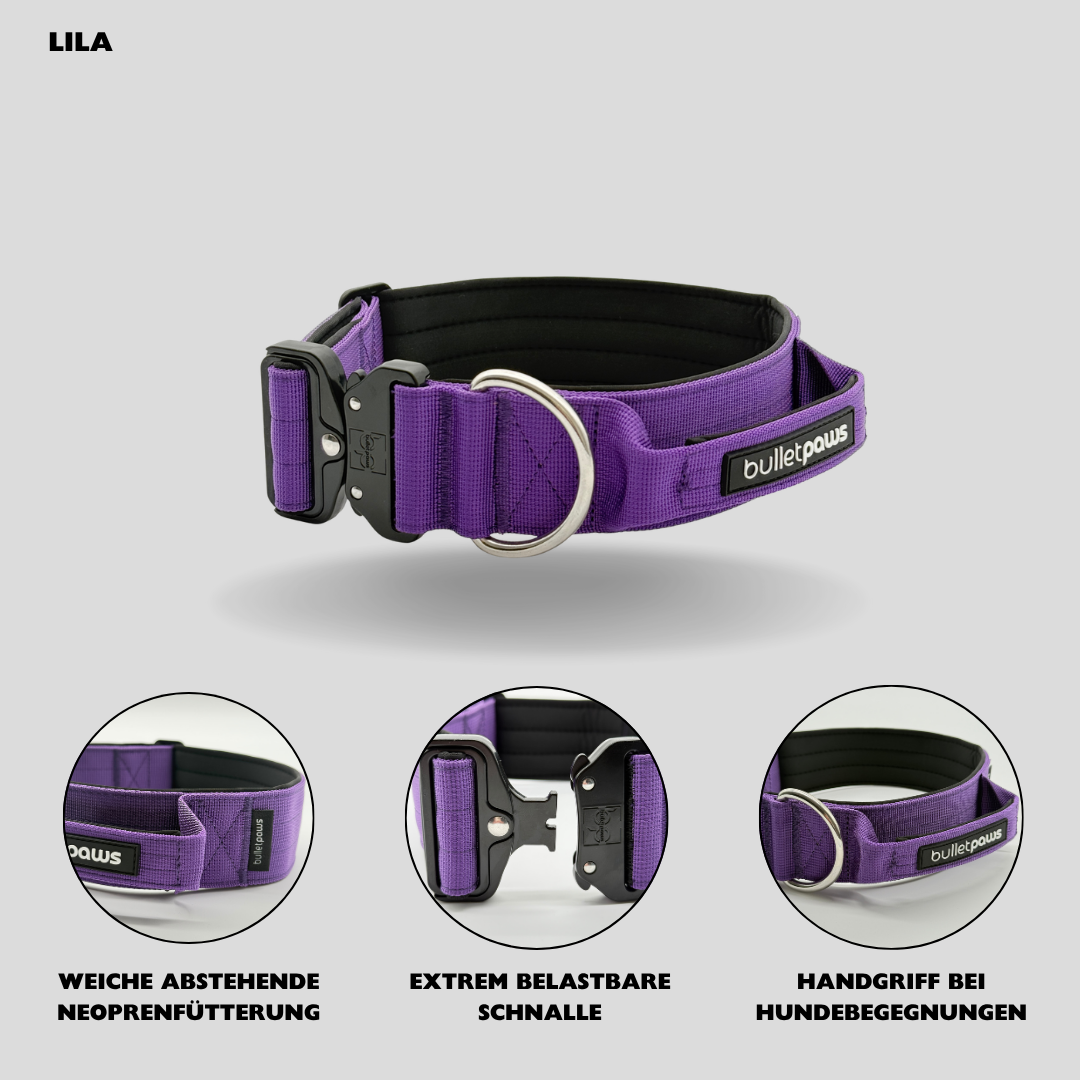 Alpha Hundehalsband mit Griff - Lila - BulletPaws