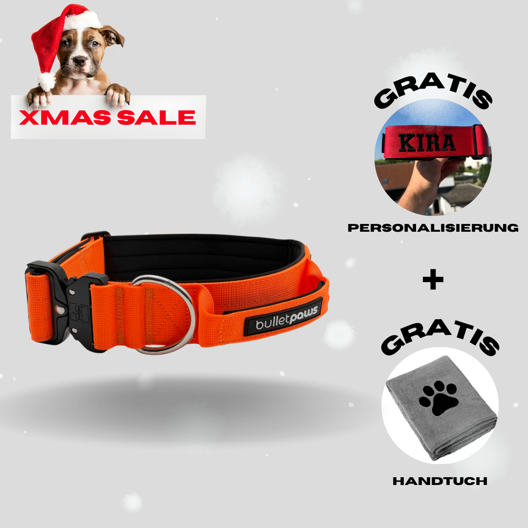 4cm Alpha Hundehalsband mit Griff - Orange