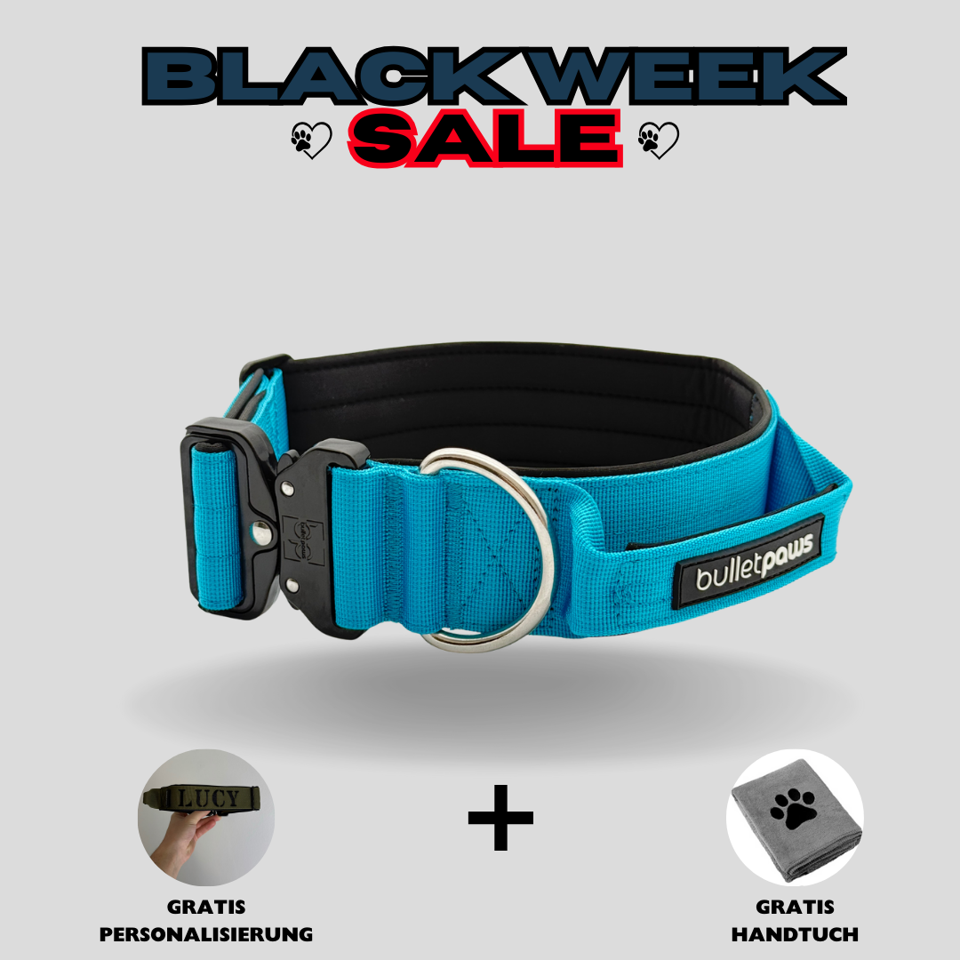 Alpha Hundehalsband mit Griff - Babyblau