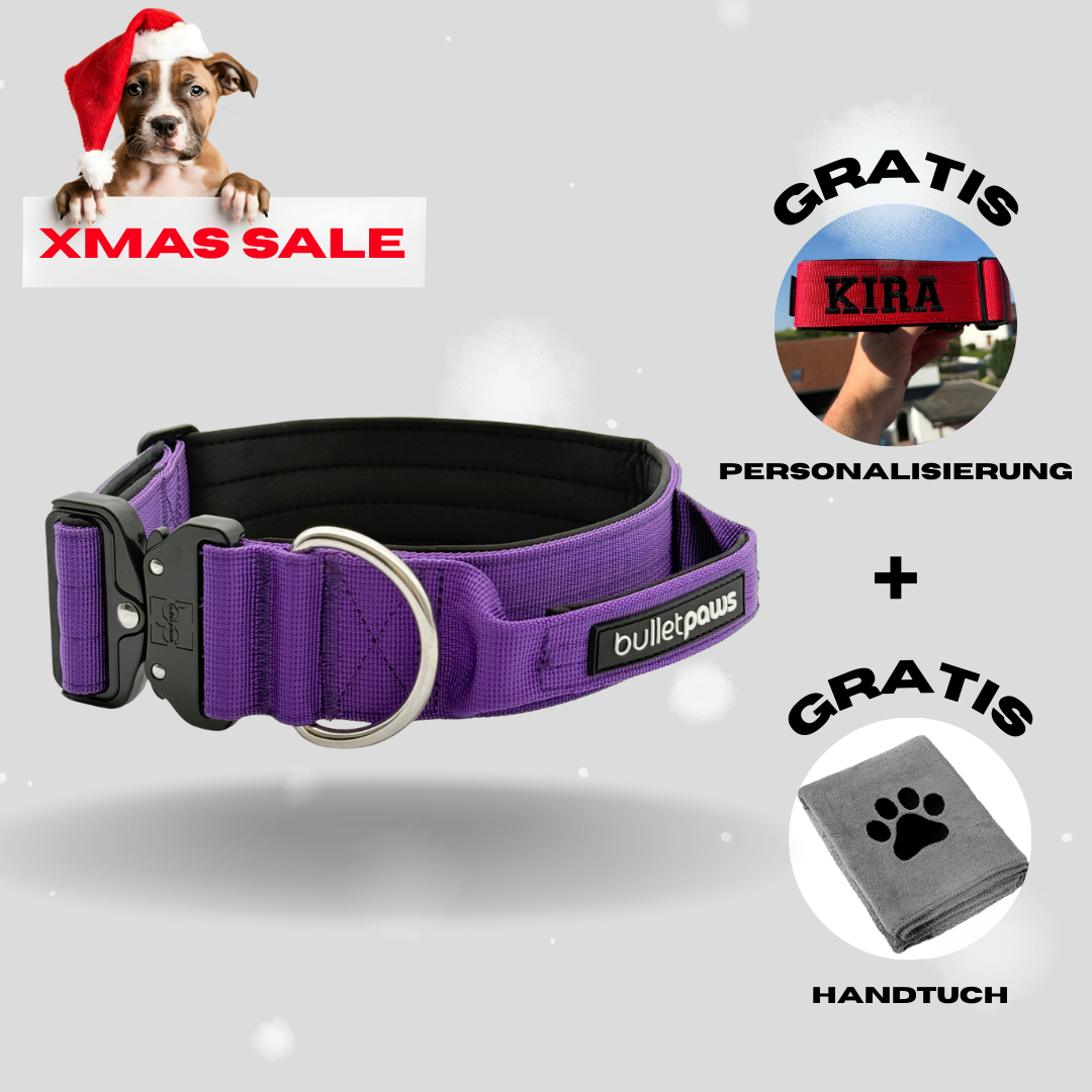 5cm Alpha Hundehalsband mit Griff - Lila