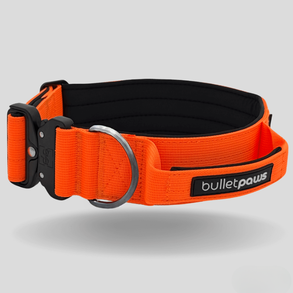 Alpha Hundehalsband® mit Griff - Orange