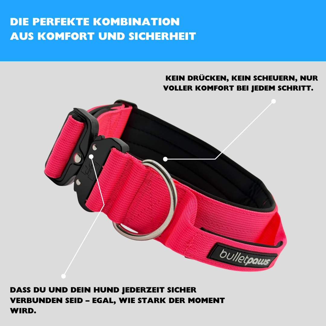5cm Alpha Hundehalsband mit Griff - Pink