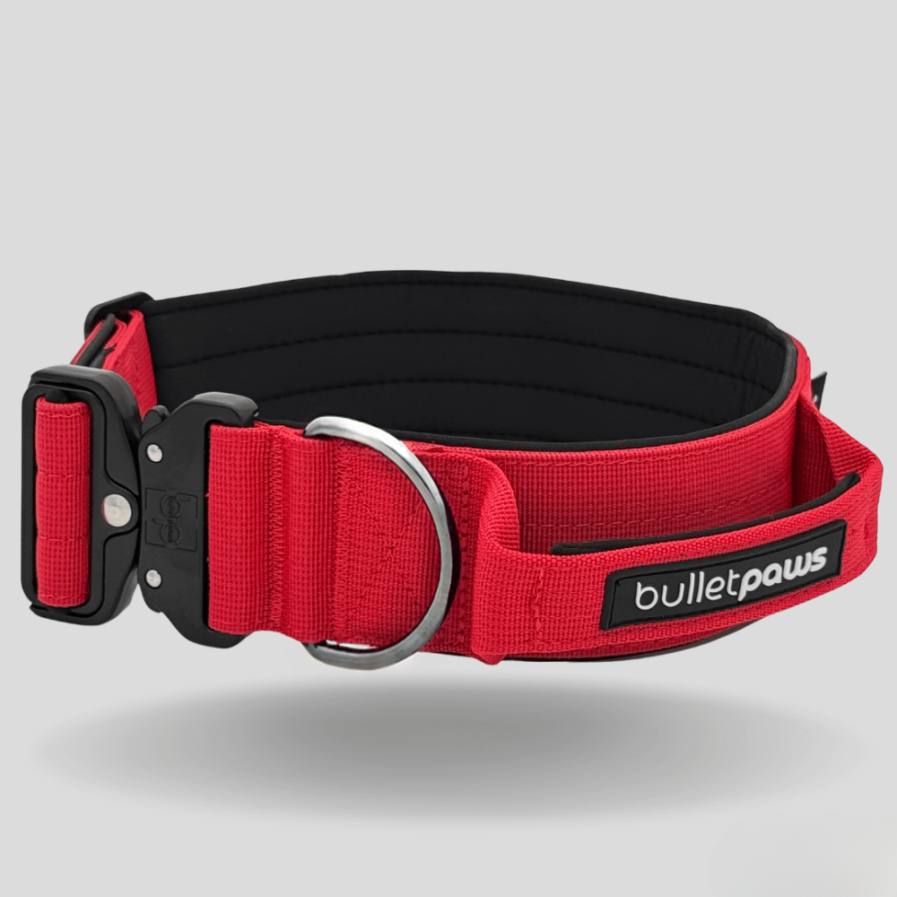 Alpha Hundehalsband® mit Griff - Rot