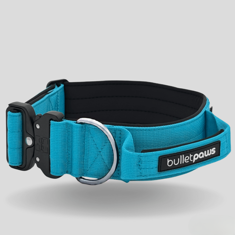 Alpha Hundehalsband® mit Griff - Babyblau