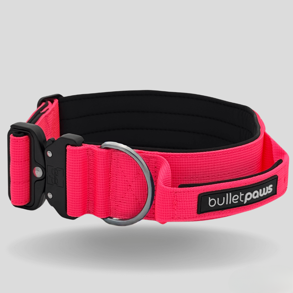 Alpha Hundehalsband® mit Griff - Pink
