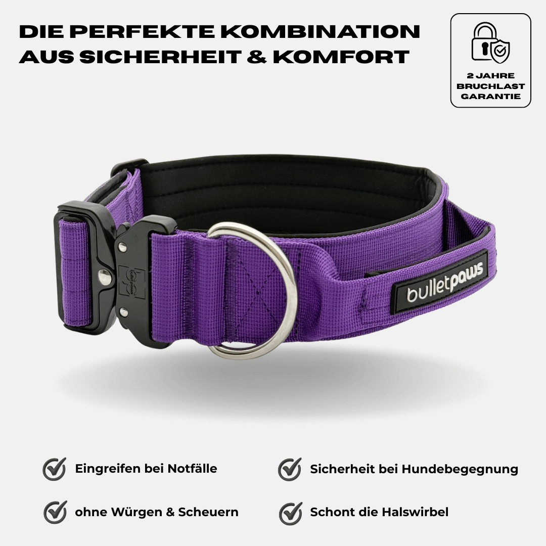 5cm Alpha Hundehalsband mit Griff - Lila