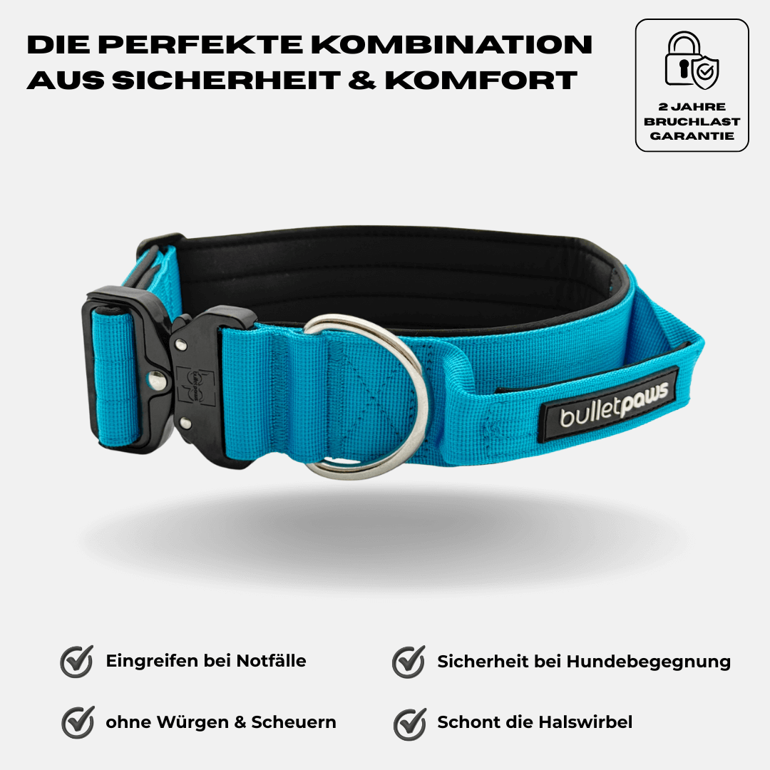 4cm Alpha Hundehalsband mit Griff - Babyblau