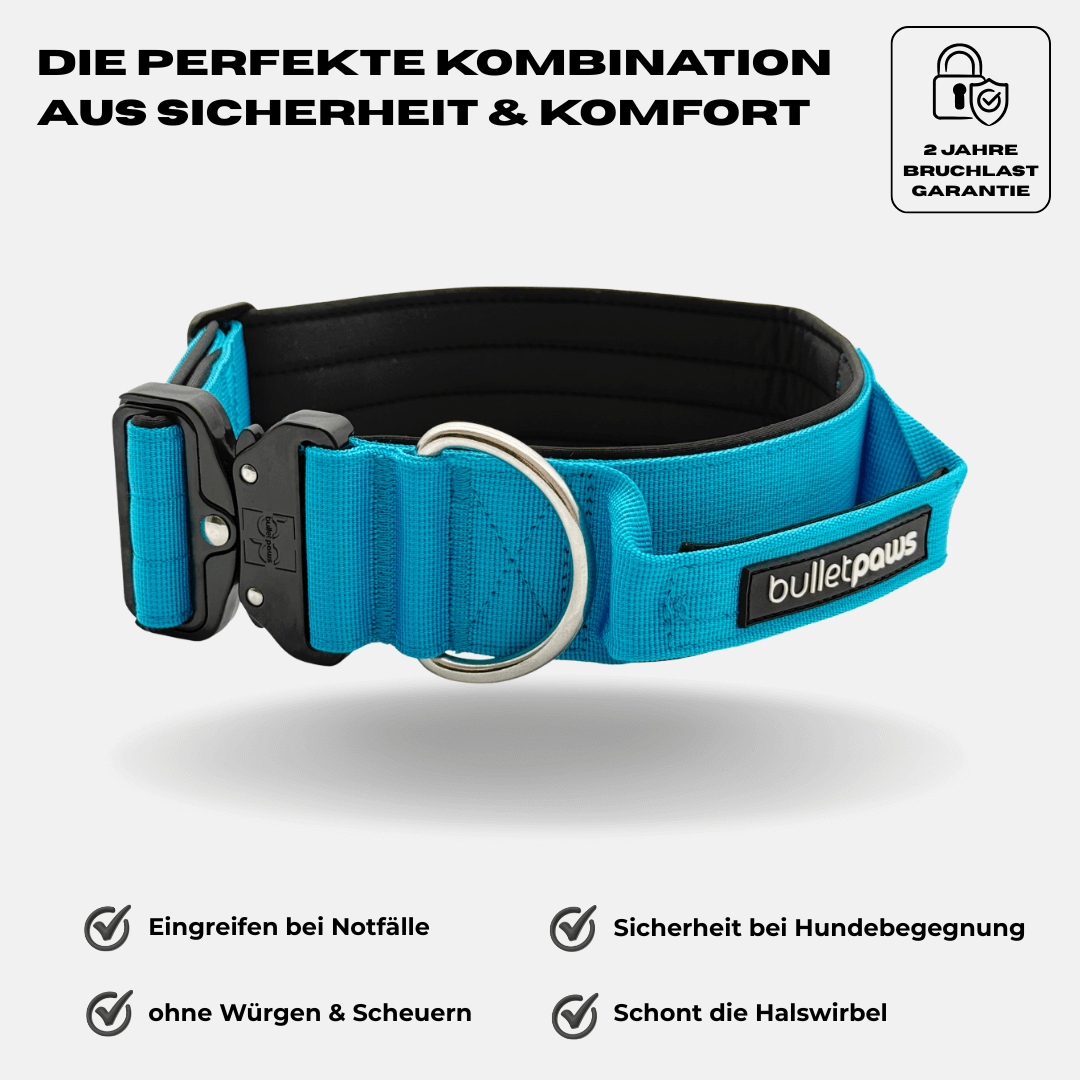 5cm Alpha Hundehalsband mit Griff - Babyblau