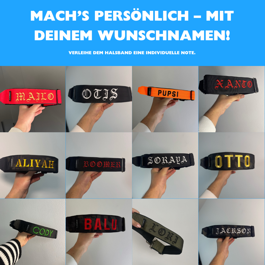 4cm Alpha Hundehalsband mit Griff - Schwarz