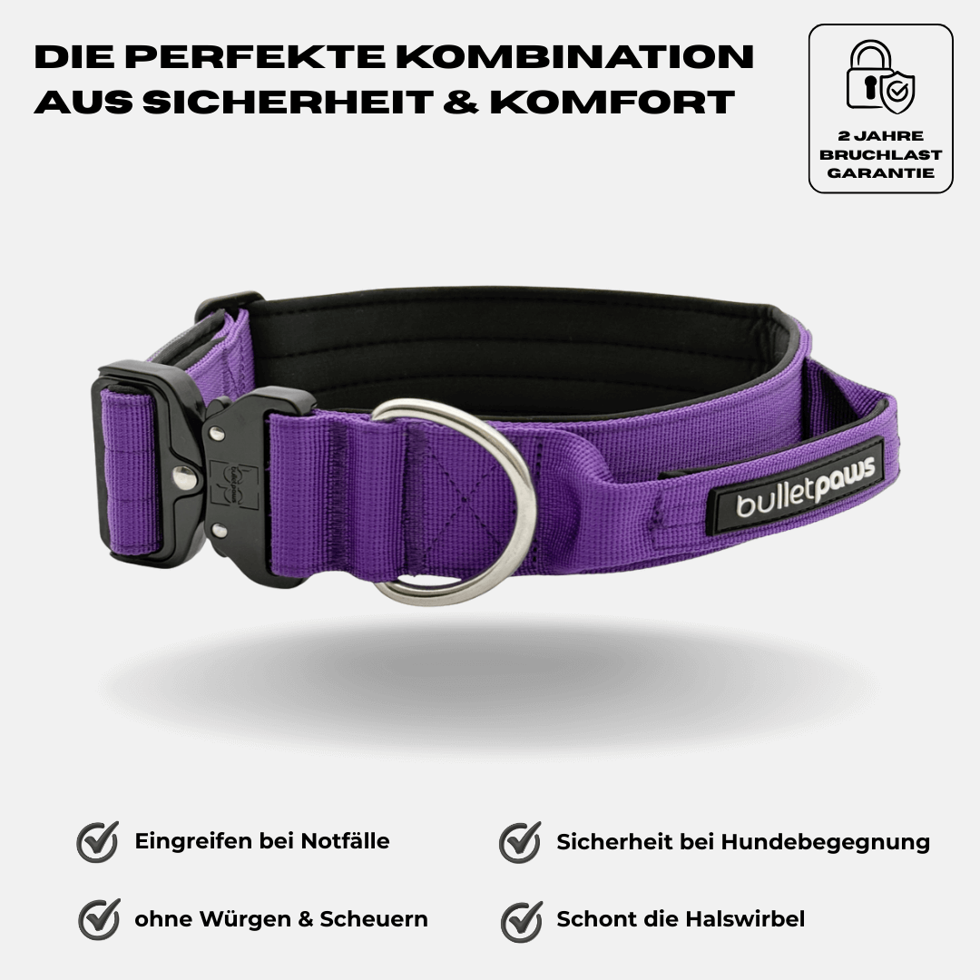 4cm Alpha Hundehalsband mit Griff - Lila