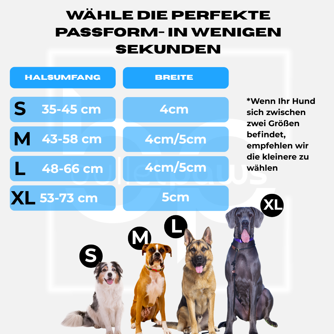 Alpha Hundehalsband mit Griff