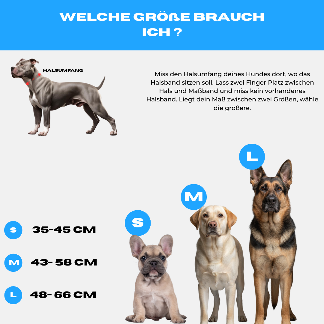 4cm Alpha Hundehalsband mit Griff - Schwarz