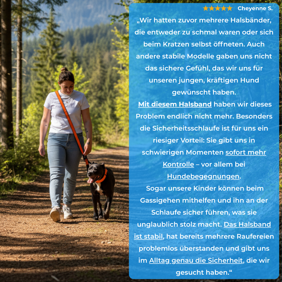 5cm Alpha Hundehalsband mit Griff - Orange