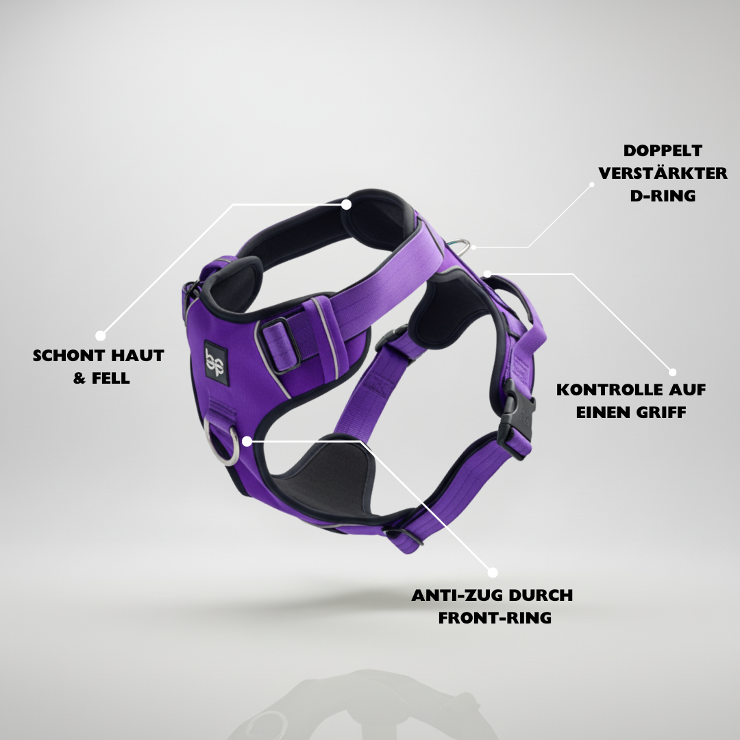 Alpha Control Hundegeschirr mit Griff - Lila