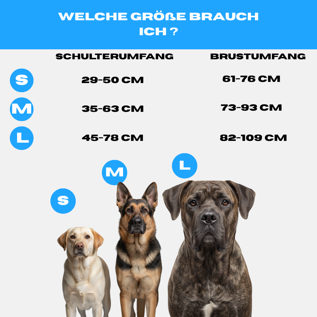 Alpha Control Hundegeschirr mit Griff - Orange