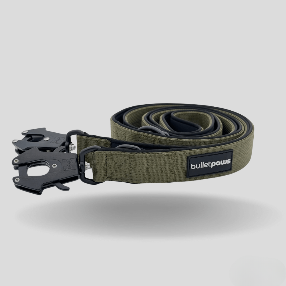 Dreifach verstellbare Hundeleine 2,2m - Khaki