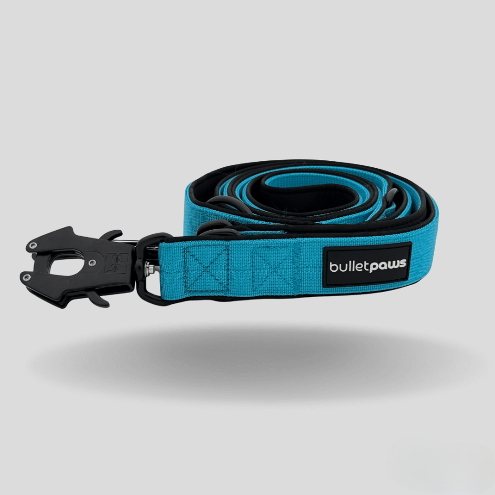 Dreifach verstellbare Hundeleine 2,2m - Babyblau