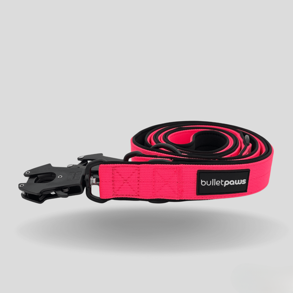 Dreifach verstellbare Hundeleine 2,2m - Pink